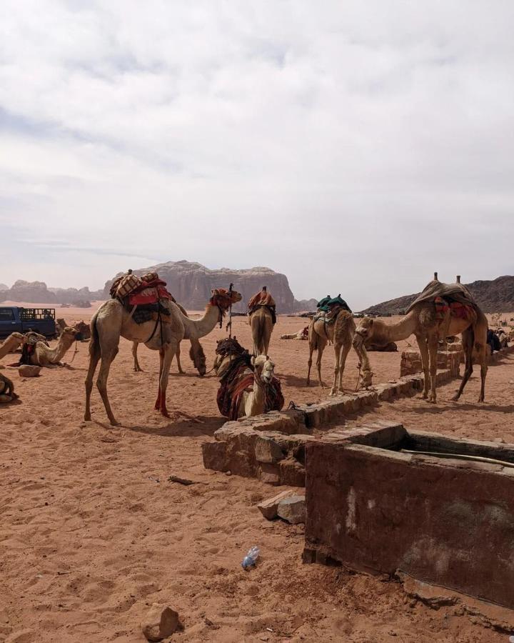 Wadi Rum Fun Time Tour'S Zewnętrze zdjęcie