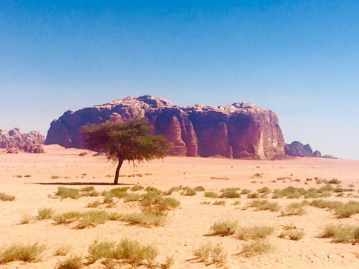 Wadi Rum Fun Time Tour'S Zewnętrze zdjęcie