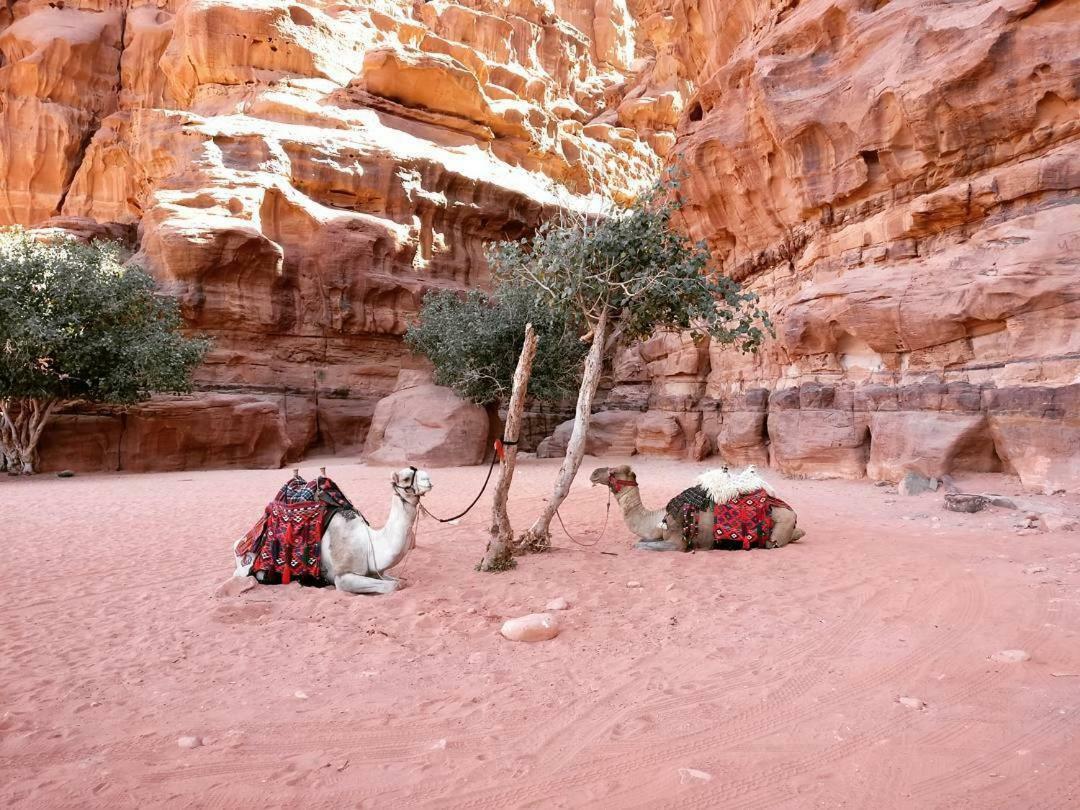 Wadi Rum Fun Time Tour'S Zewnętrze zdjęcie